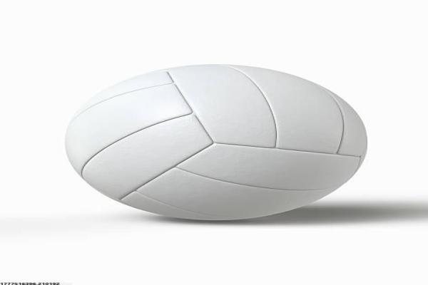 体育类考试家庭培训方案解析(图1)