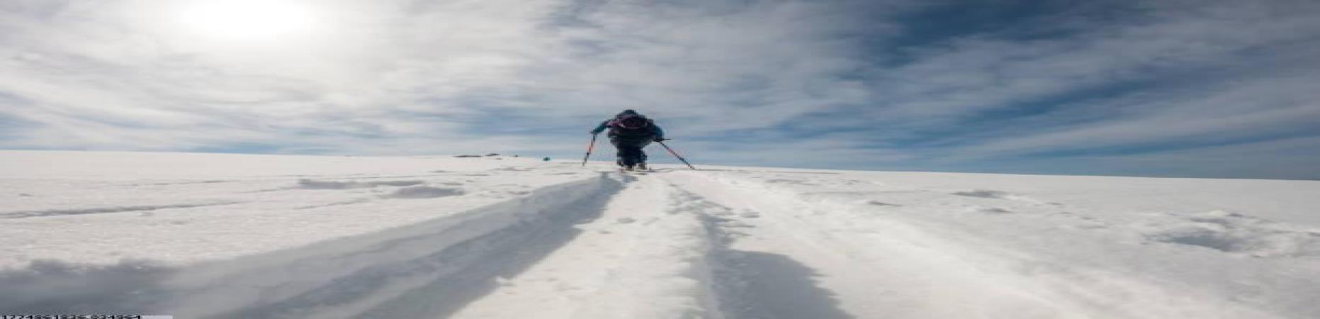 vsports胜利球迷互动功能